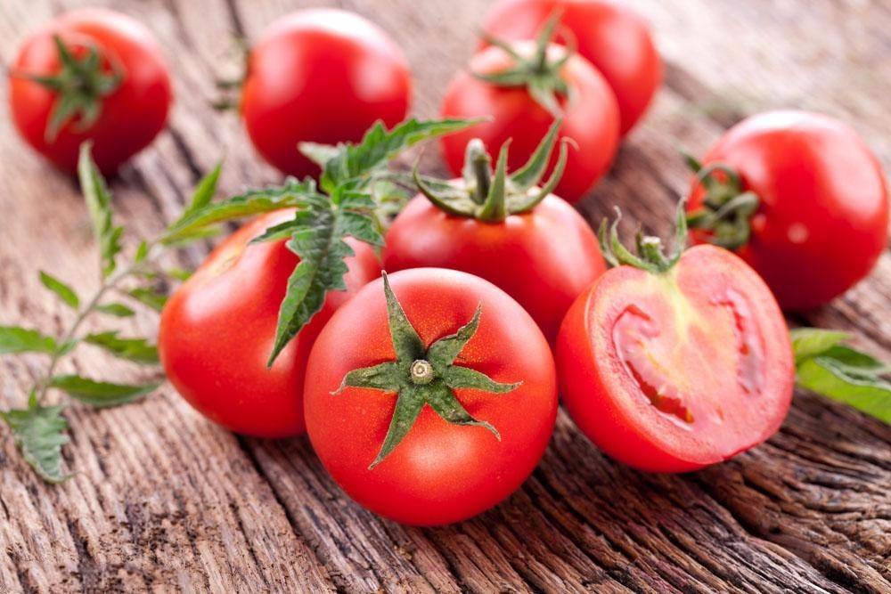 温室番茄如何预防落花落果?哪家番茄水溶肥效果好?